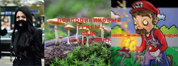 спайс Заволжье